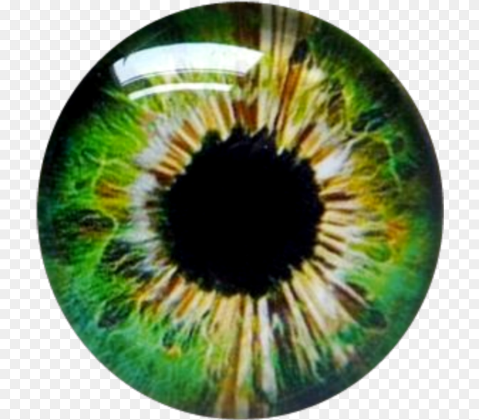 Greeneyes Eye Contacts Eyeballs Circle, Accessories, Gemstone, Jewelry, Sphere Png Image