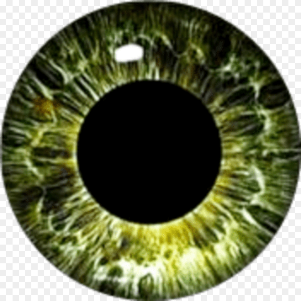 Greeneyes Eyes Eyeball Circle, Accessories, Night, Nature, Outdoors Free Png Download