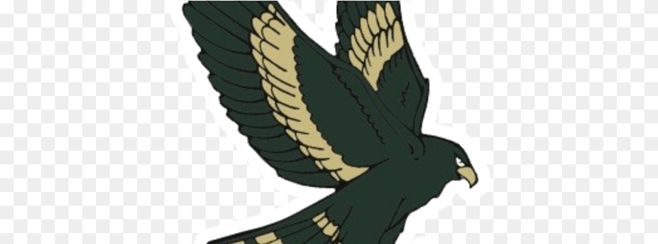 Greenfield Hawks Greenfield Hawks Logo, Animal, Beak, Bird, Kite Bird Free Png Download