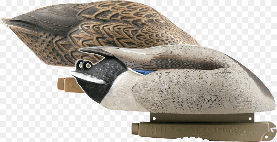 Greenhead Gear Pro Grade No Head Mallard Feeder Decoys, Animal, Bird, Cushion, Home Decor Free Png