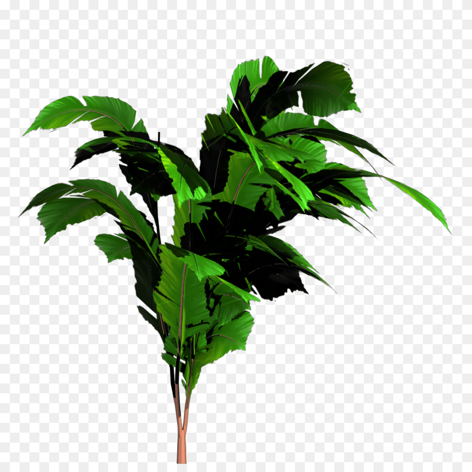 Greenhouse, Green, Leaf, Plant, Tree Free Transparent Png