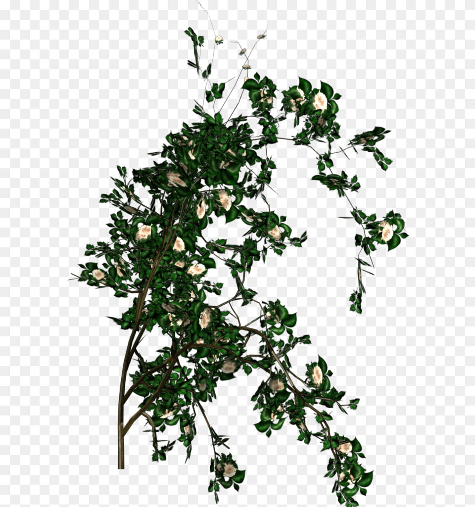 Greenhouse Blender For Architecture White Rose Bush, Green, Plant, Pattern, Art Free Png
