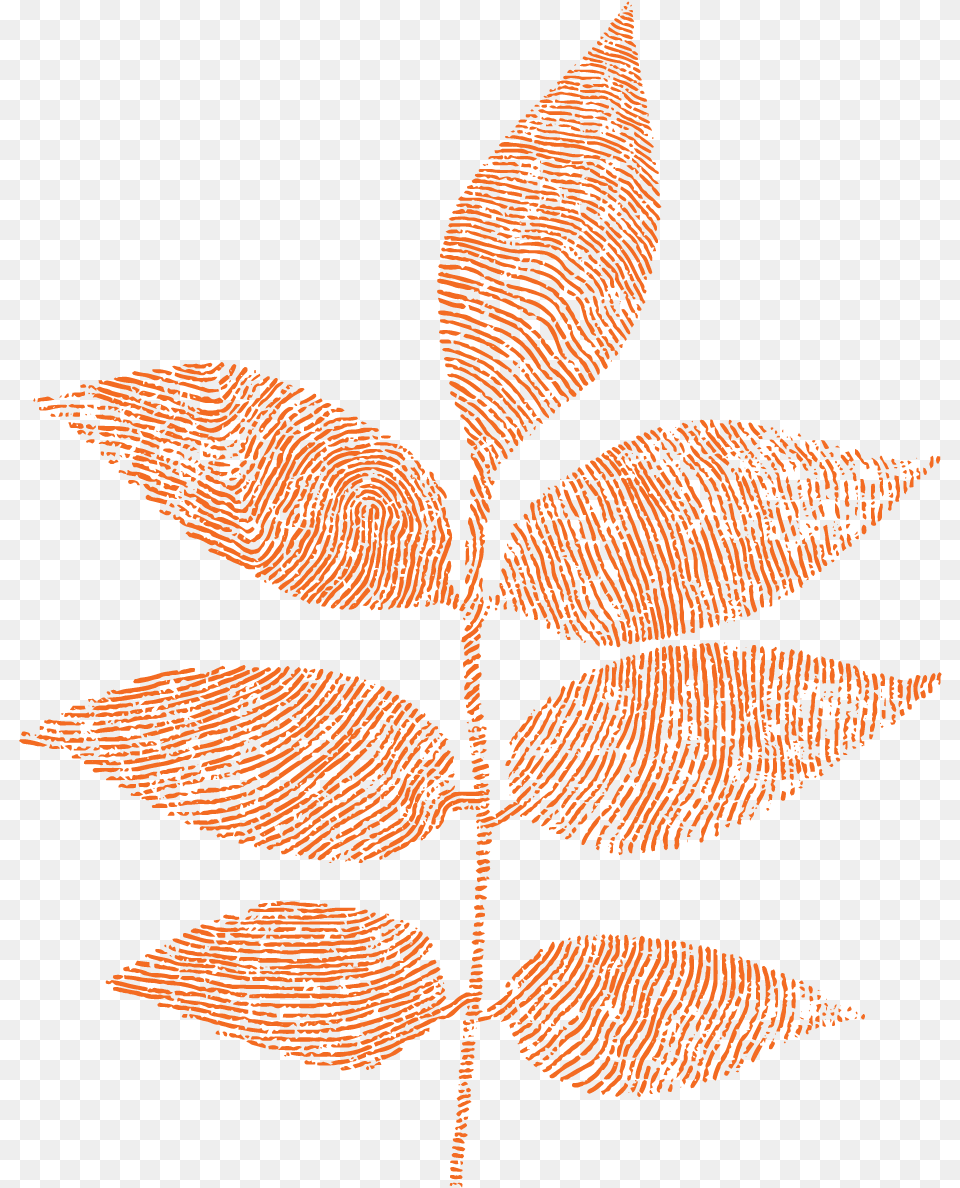 Greenhouse Brand Decorative, Leaf, Plant, Tree, Pattern Png