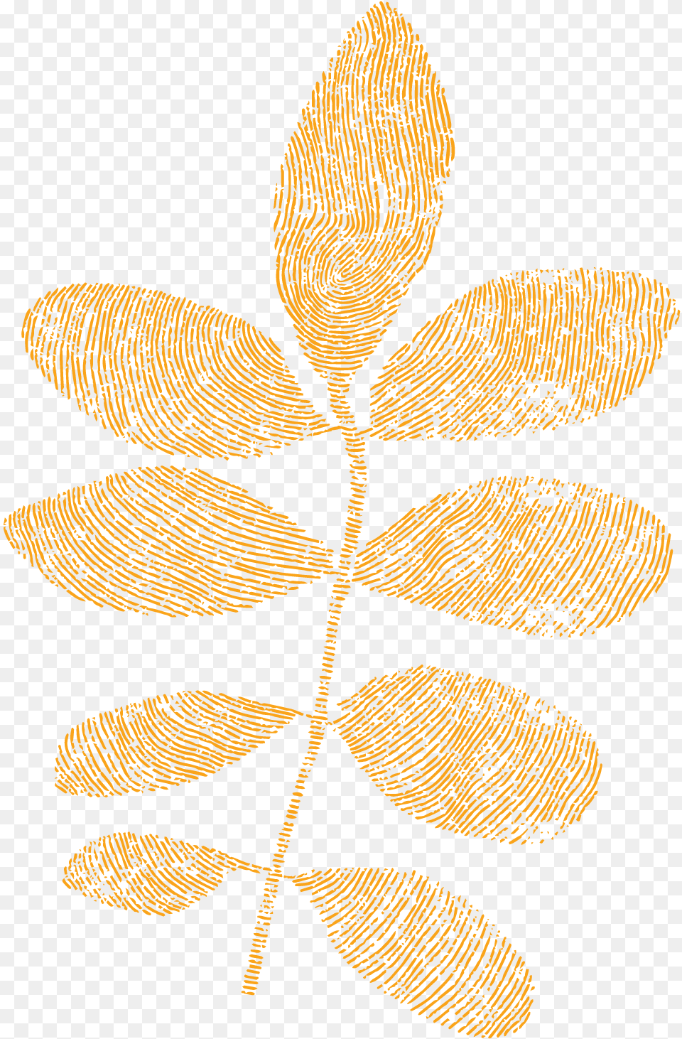 Greenhouse Brand Decorative, Leaf, Plant, Chandelier, Lamp Free Png