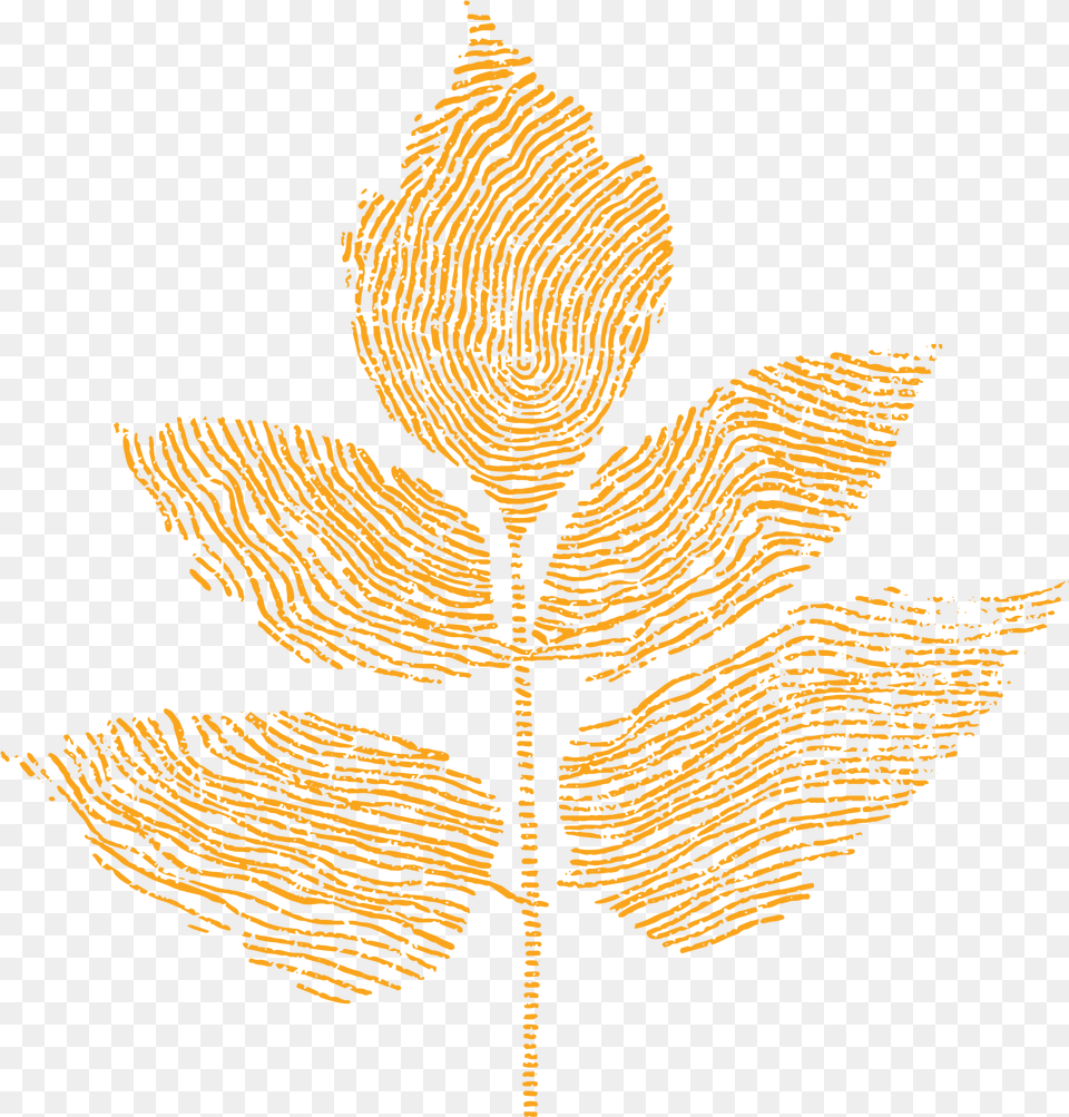 Greenhouse Brand Decorative, Leaf, Plant, Pattern, Person Free Png Download