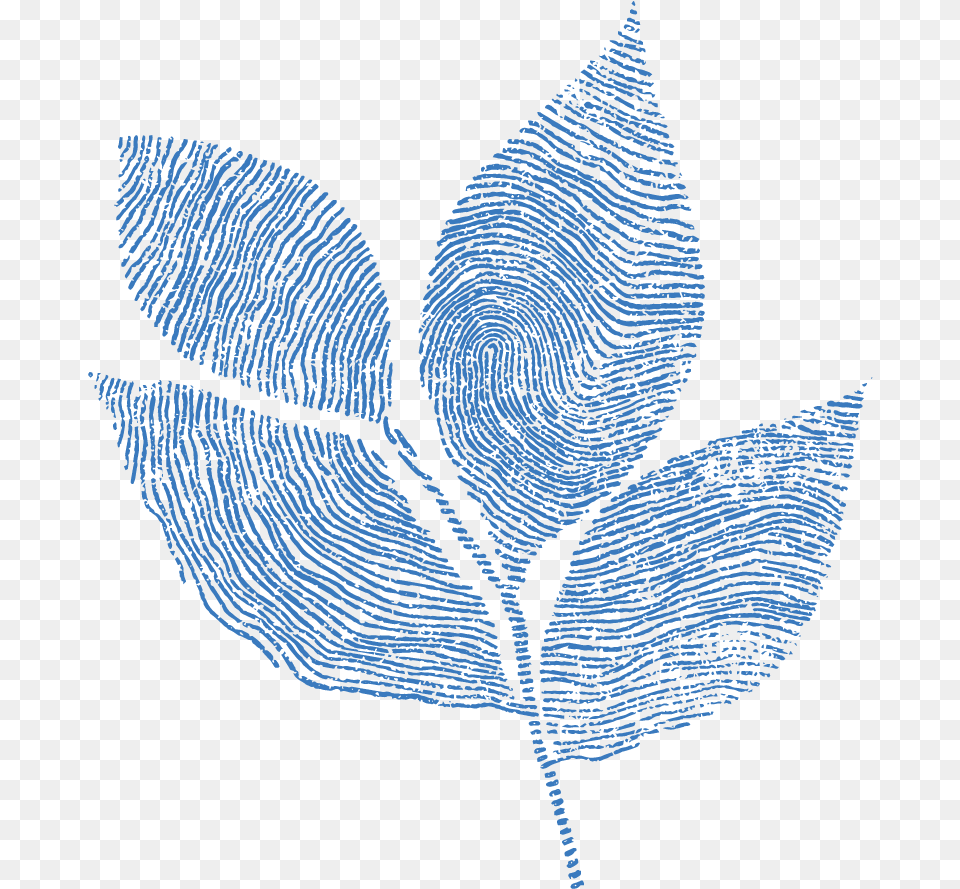 Greenhouse Brand Decorative, Leaf, Plant, Person, Art Free Transparent Png