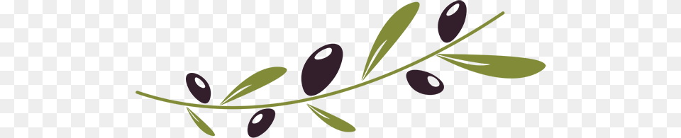 Greenland Olives Free Transparent Png