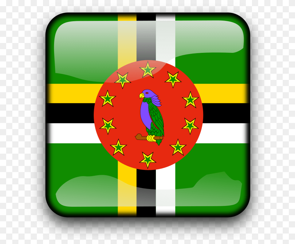 Greenrectangleflag Of Dominica Flag Of Dominican Republic Green, Animal, Bird Free Png Download