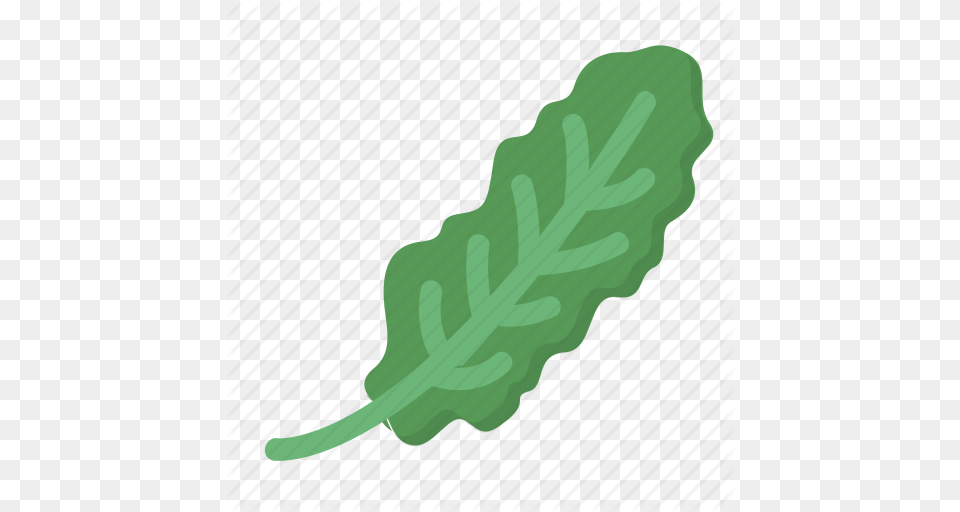 Greens Healthy Kale Organic Salad Veggie Icon, Leaf, Plant, Arugula, Food Free Png