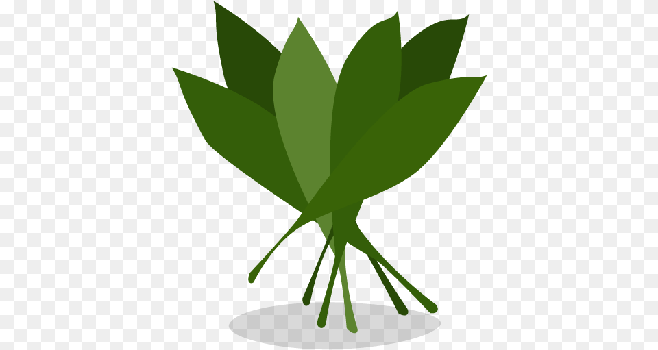 Greens Icon Myiconfinder Illustration, Green, Herbal, Herbs, Leaf Free Png