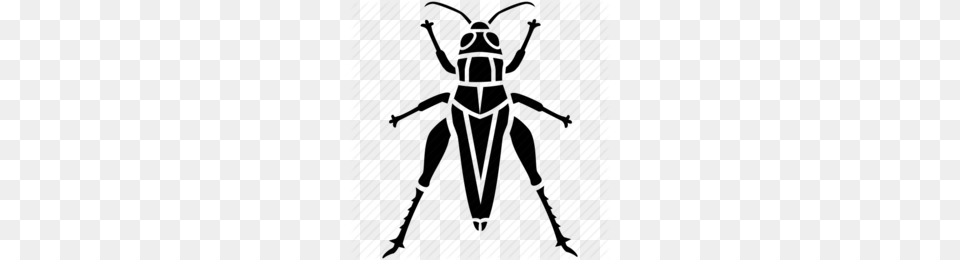 Greensboro Grasshoppers Clipart, Person, Animal, Cricket Insect, Insect Free Png Download