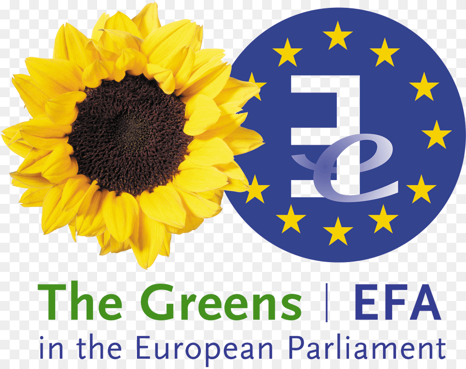 Greensefa Logo Green European Foundation Alliance, Flower, Plant, Sunflower Png Image