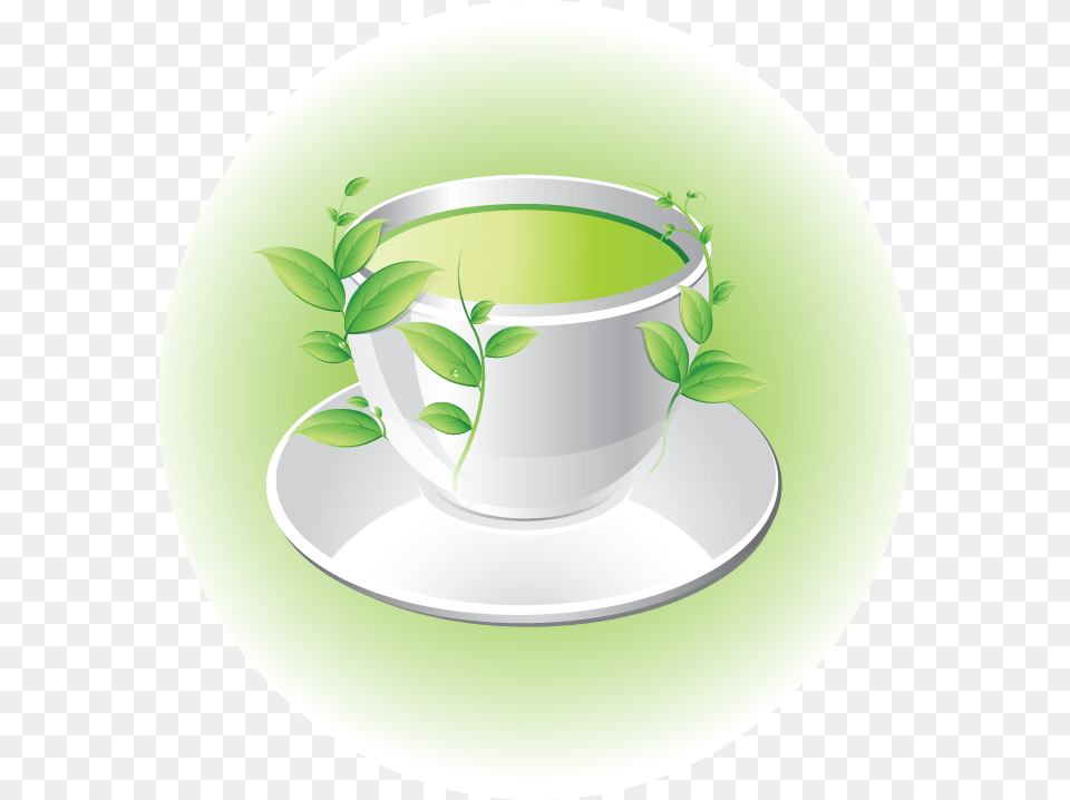 Greentea Green Tea Cup Teacup Cuptea Tea, Herbal, Herbs, Plant, Saucer Free Png