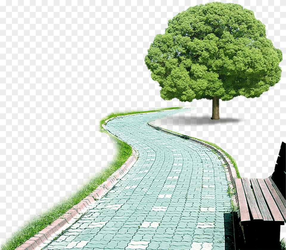 Greentreenatural Landscapewoody Plantplanturban Prema Kavali 2011 Telugu, Walkway, Road, Path, Outdoors Png