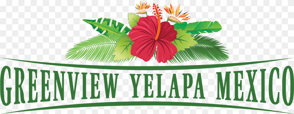 Greenview Yelapa Mexico Rentals Logo Hawaiian Hibiscus, Flower, Plant, Leaf, Vegetation Free Png