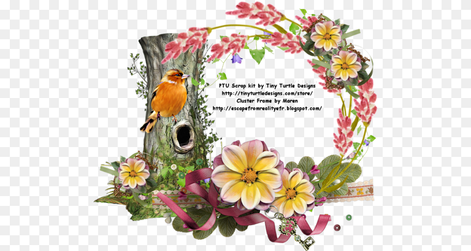 Greeting Card, Plant, Pattern, Graphics, Flower Arrangement Png Image
