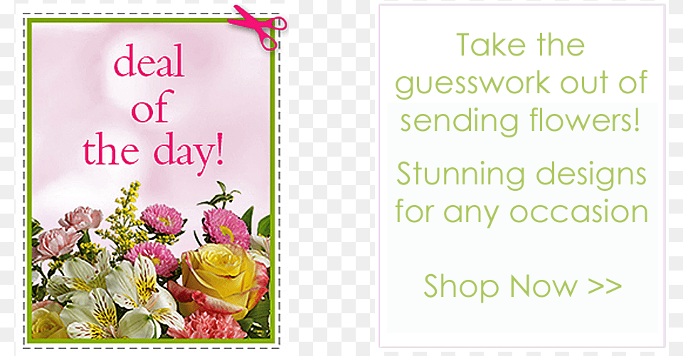 Greeting Card, Envelope, Flower, Greeting Card, Mail Png Image
