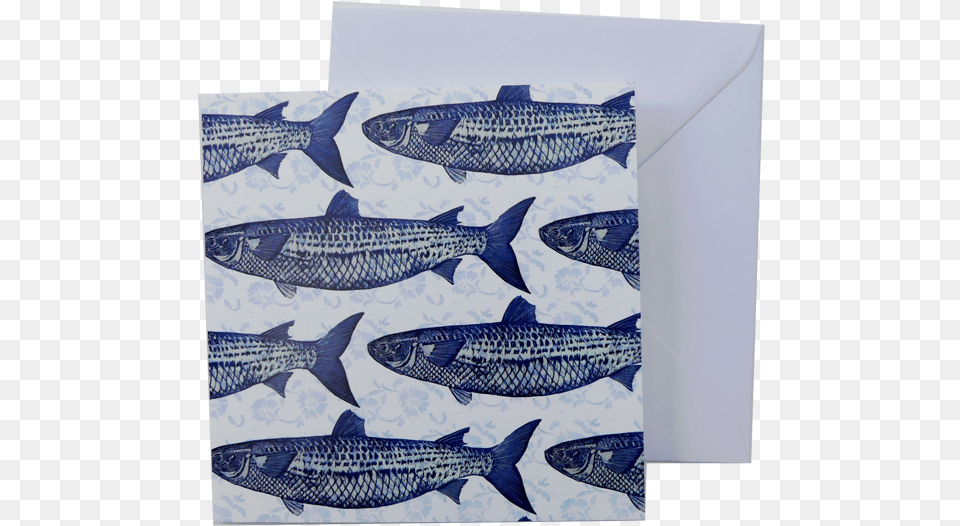 Greeting Card And Envelope Blue And White Fish Print Whale Shark, Animal, Sea Life, Food, Mullet Fish Free Transparent Png