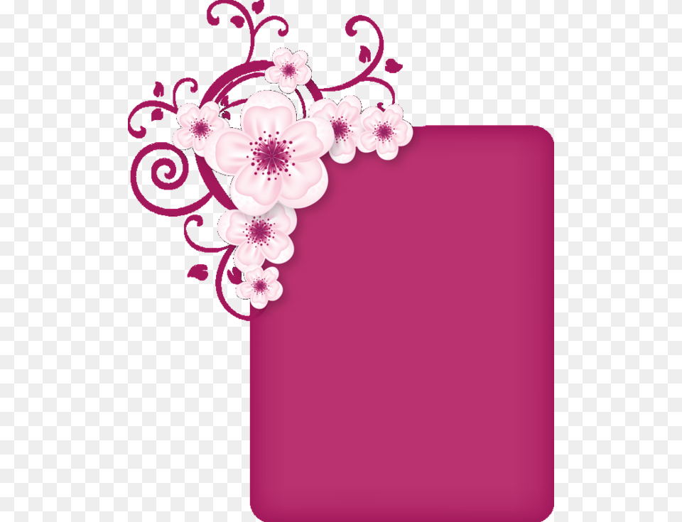 Greeting Cards For Sorry, Flower, Plant, Cherry Blossom Free Transparent Png