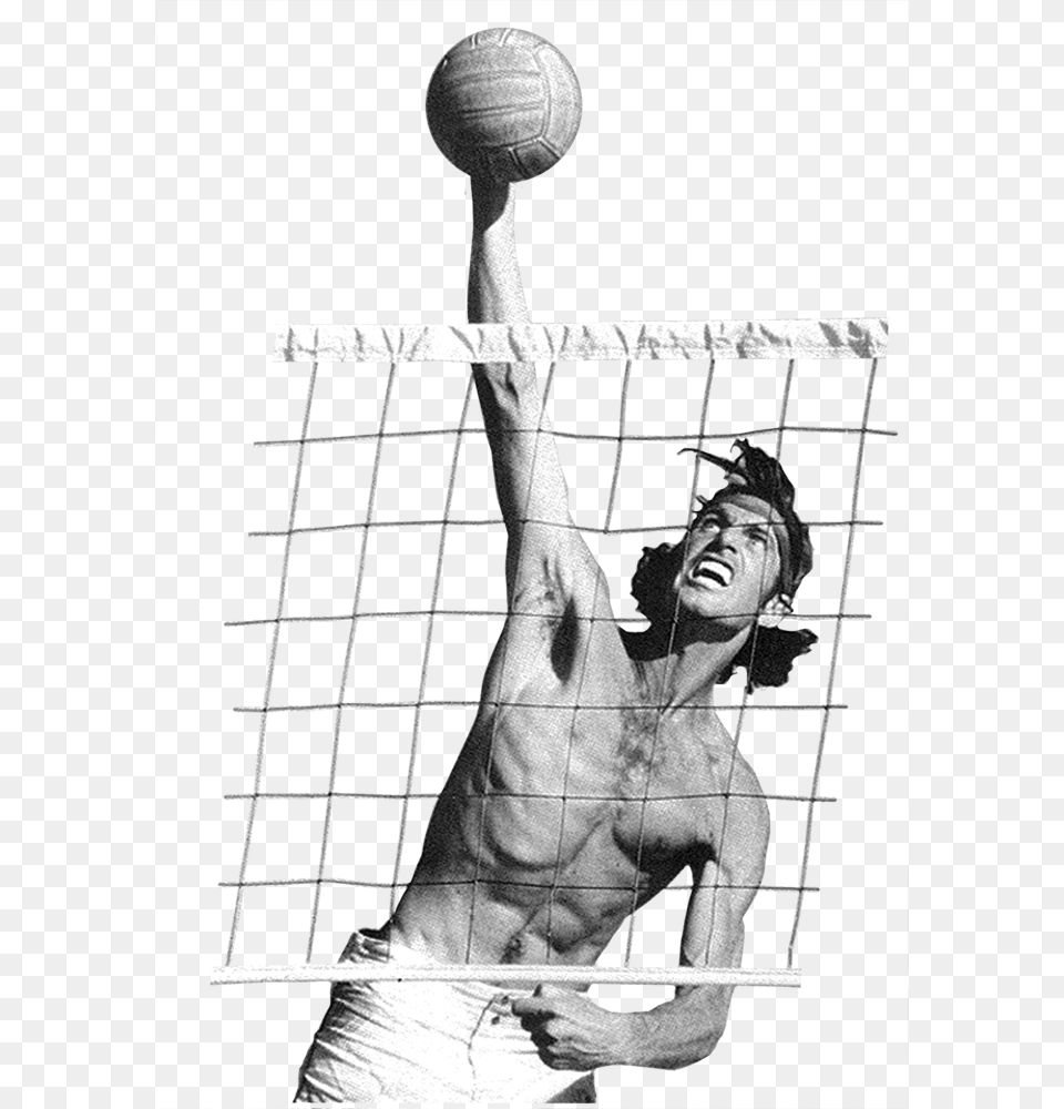 Greg Lee Volleyball Player, Sphere, Adult, Sport, Shorts Png