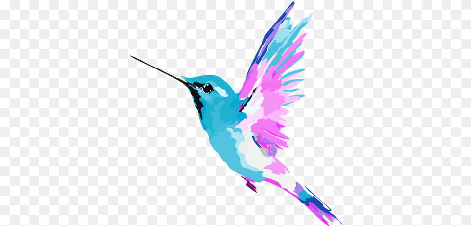 Greta Solomon Hummingbird, Animal, Bird, Person Png Image