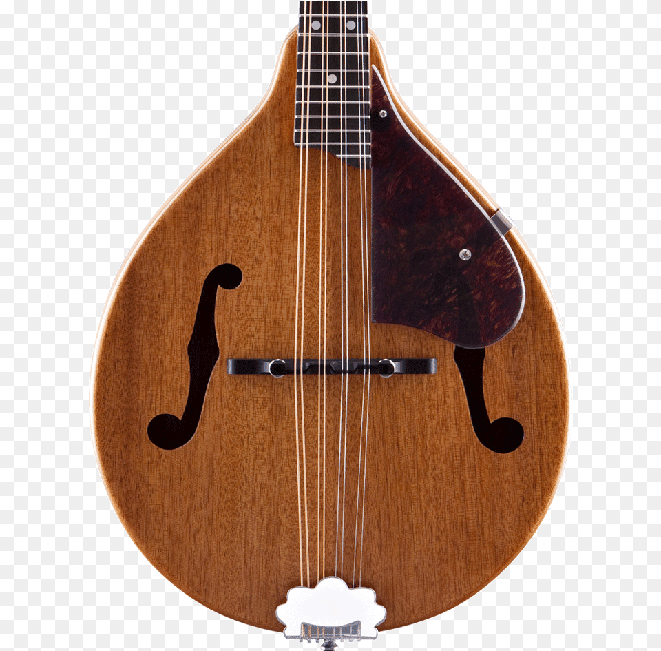 Gretsch Mandolin, Guitar, Musical Instrument, Lute Png