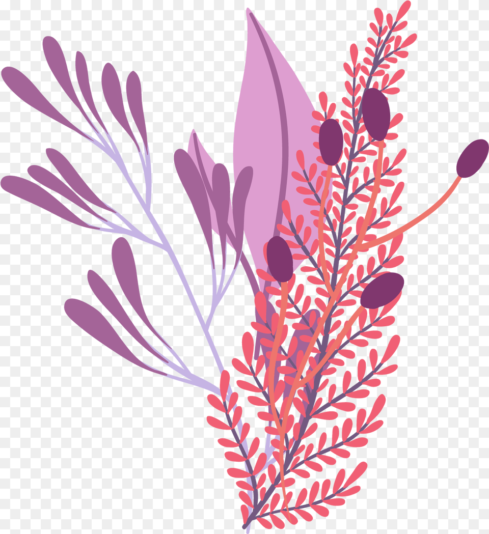 Grevillea, Purple, Plant, Pattern, Herbs Free Png Download