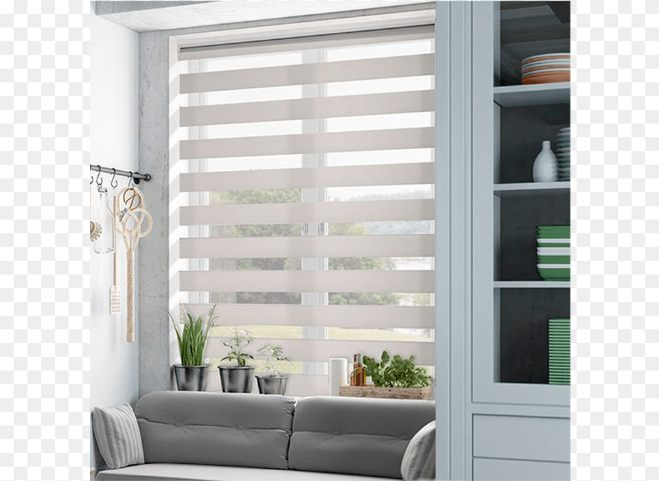 Grey And White Blinds, Home Decor, Plant, Curtain, Indoors Free Png