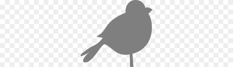 Grey Art Cliparts, Animal, Bird, Canary, Baby Free Png Download