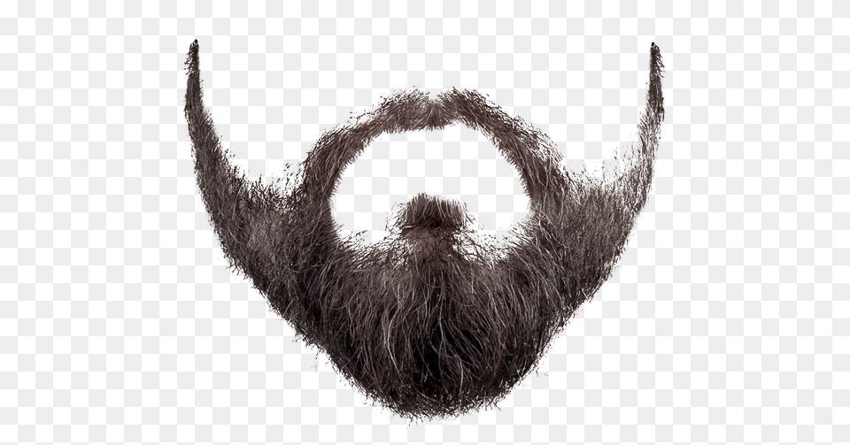 Grey Black Beard, Face, Head, Person, Mustache Free Png Download