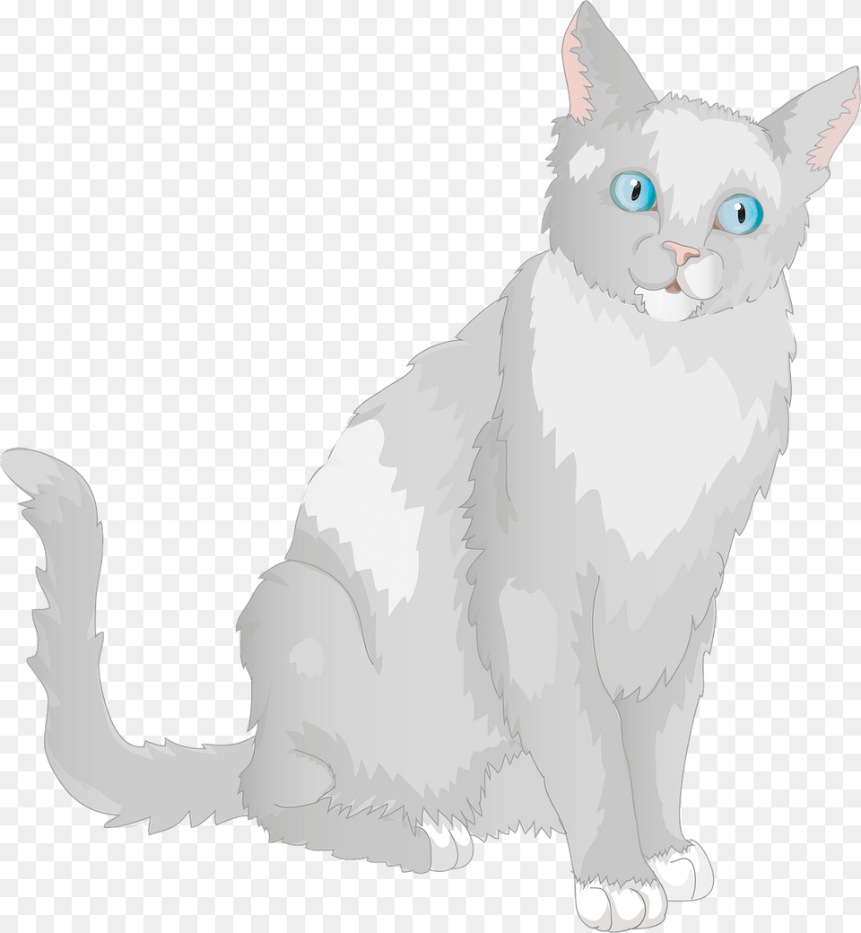 Grey Blue Eyed Cat Clipart, Angora, Animal, Mammal, Pet Png Image