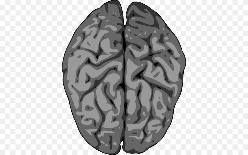 Grey Brain Clip Art, Ct Scan, Vegetable, Produce, Food Free Transparent Png