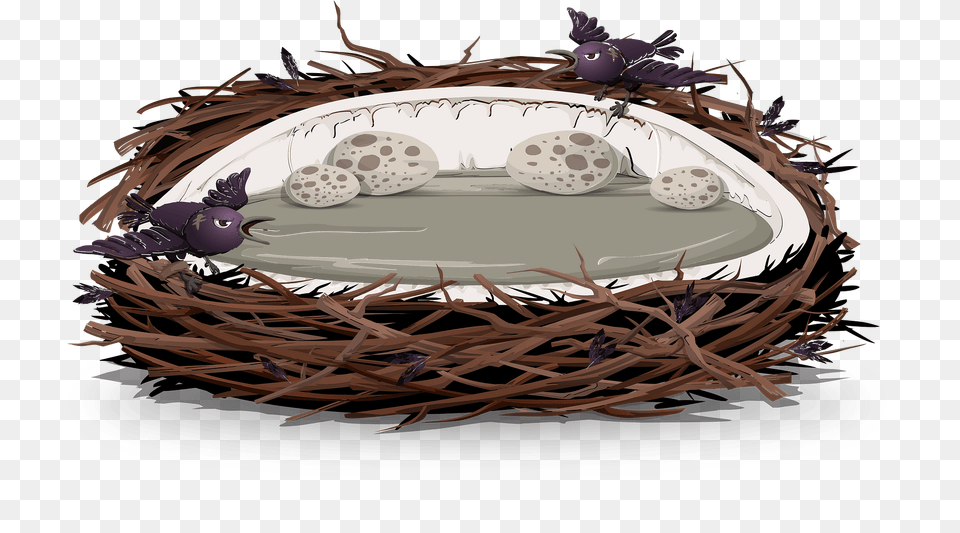 Grey Brown Birds Eggs Nest Fantasy Bed Clipart, Hot Tub, Tub, Food, Fruit Free Png