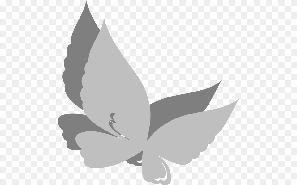 Grey Butterfly Clip Art, Leaf, Plant, Stencil, Animal Free Transparent Png