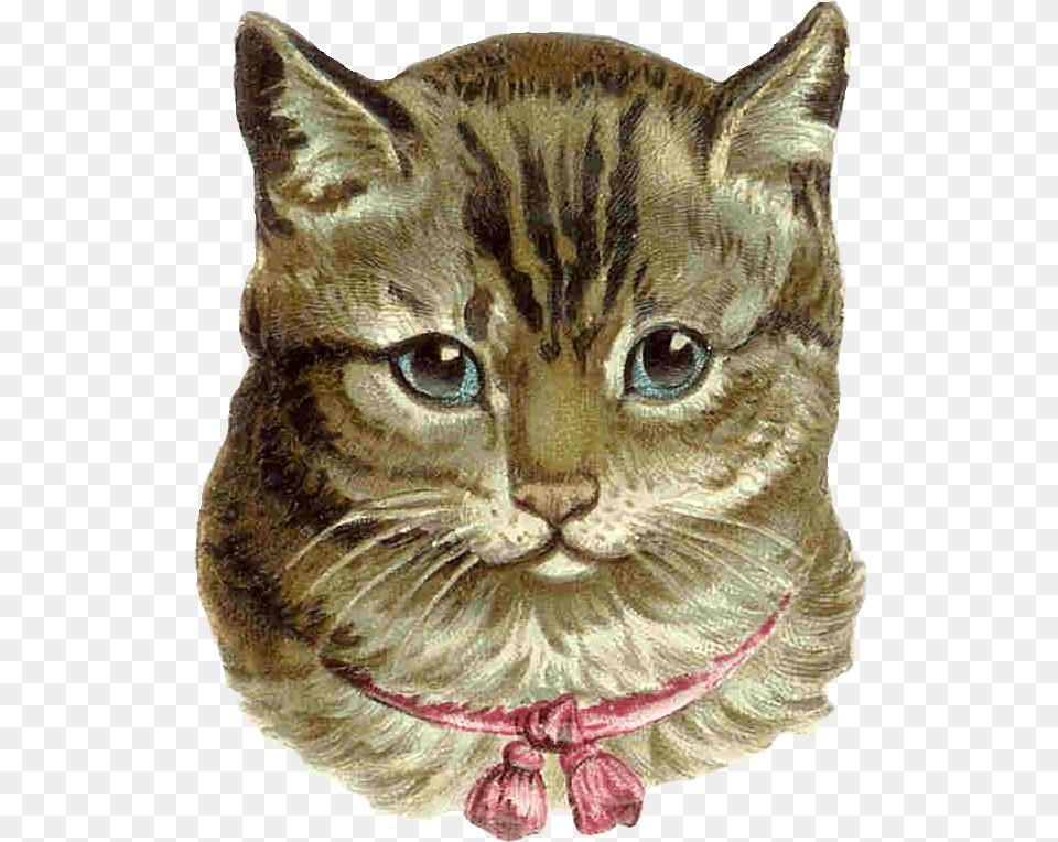 Grey Cat From Antique Images Cross Stitch Patterns Pinc Cats, Animal, Mammal, Pet Free Png Download