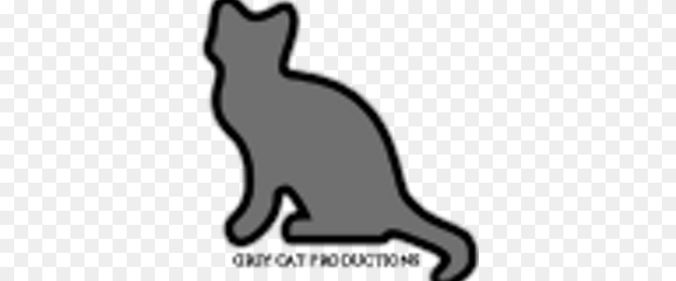 Grey Cat Productions, Animal, Mammal, Pet, Egyptian Cat Free Transparent Png