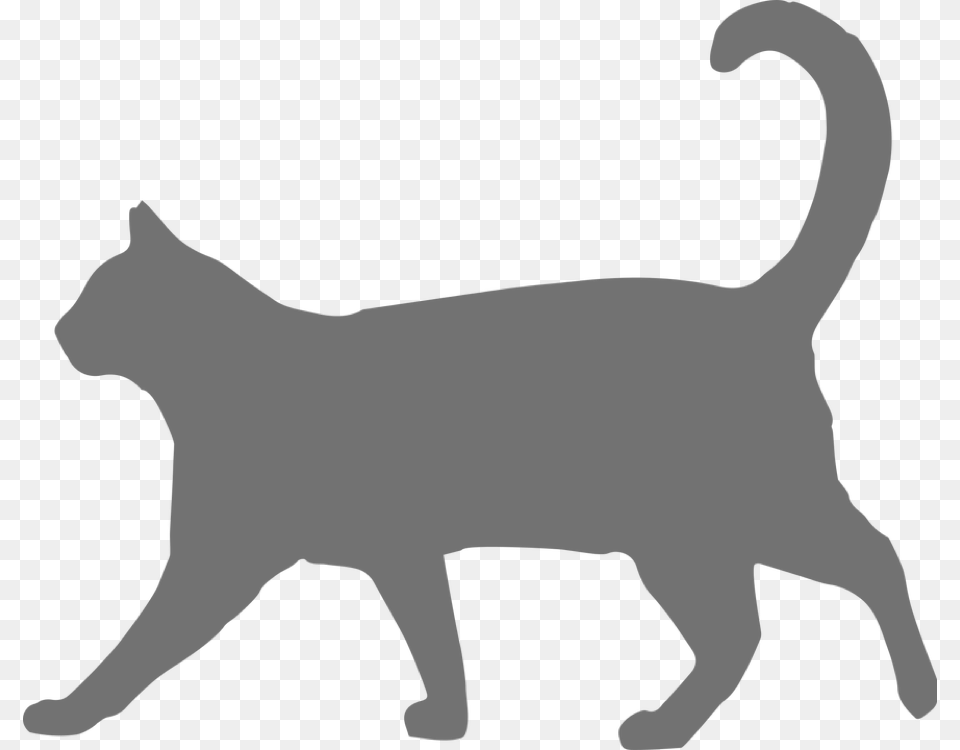 Grey Cat Walking Icon Transparent Background Black Cat, Silhouette, Animal, Mammal, Pet Png Image