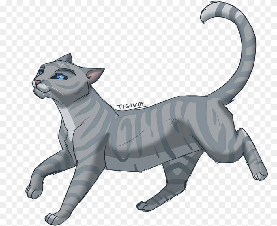 Grey Cat With Blue Eyes Clipart Silverstream Warrior Cat, Animal, Mammal, Pet, Kangaroo Free Png