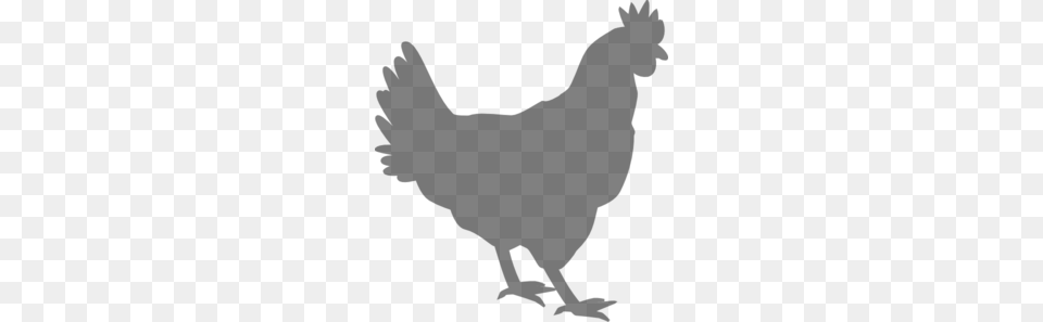 Grey Chicken Clip Art, Gray Png