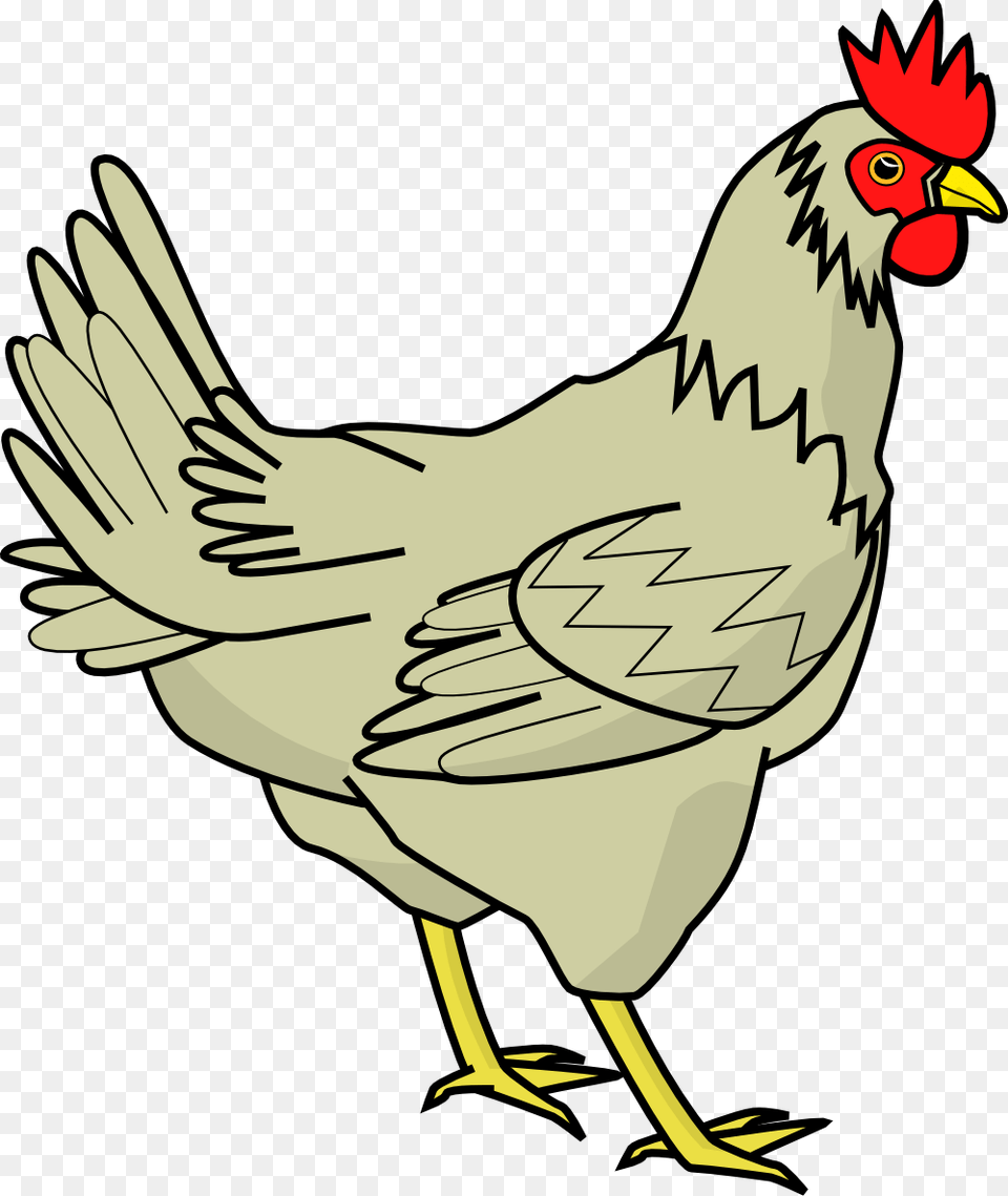 Grey Clipart Hen, Animal, Bird, Chicken, Fowl Free Png Download