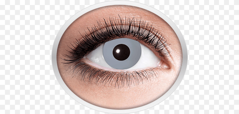 Grey Contact Lenses Eyes Lens Golden, Contact Lens, Adult, Female, Person Free Png Download