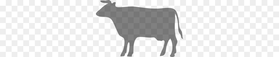 Grey Cow Clip Art, Gray Png