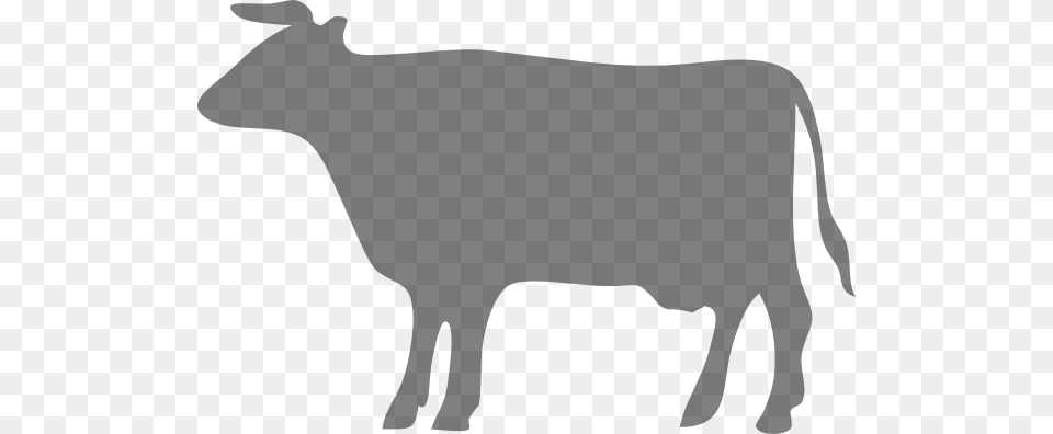 Grey Cow Grey Cow And Clip Art, Animal, Bull, Mammal, Livestock Free Transparent Png