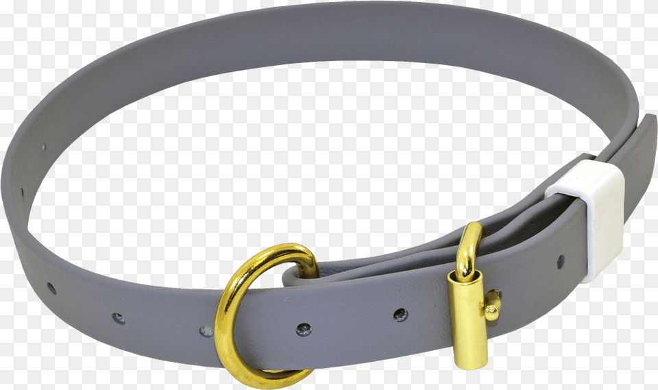 Grey Dog Collar Gold Metal Belt And Dog Collar Transparent Background, Accessories, Buckle, Smoke Pipe Free Png