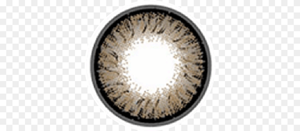 Grey Eye Lens, Home Decor Free Png Download