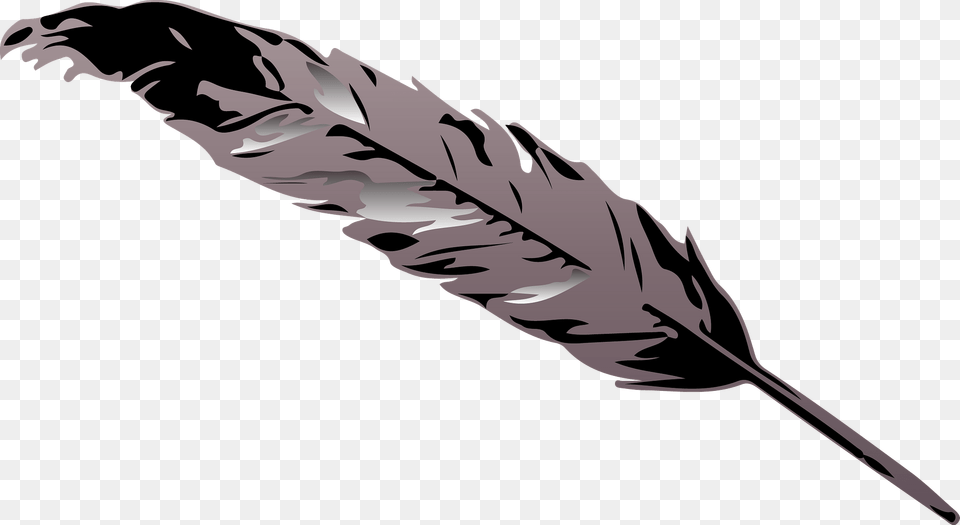 Grey Feather Clipart, Plant, Reed, Bottle, Animal Free Transparent Png