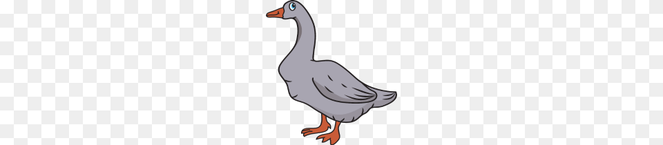 Grey Goose, Animal, Bird, Waterfowl Free Transparent Png