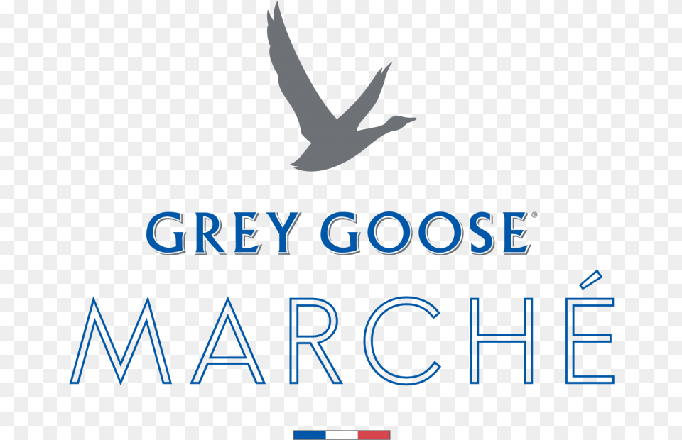 Grey Goose Food Drink Chef Toronto Grey Goose, Animal, Bird, Flying Free Png Download