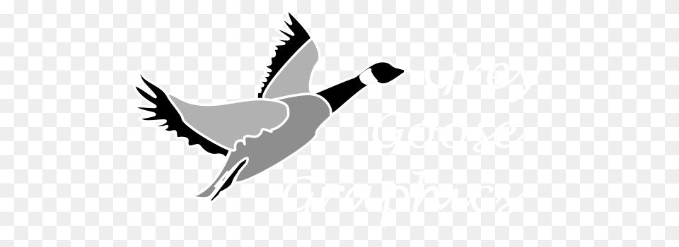 Grey Goose Graphics, Stencil, Animal, Bird, Waterfowl Png