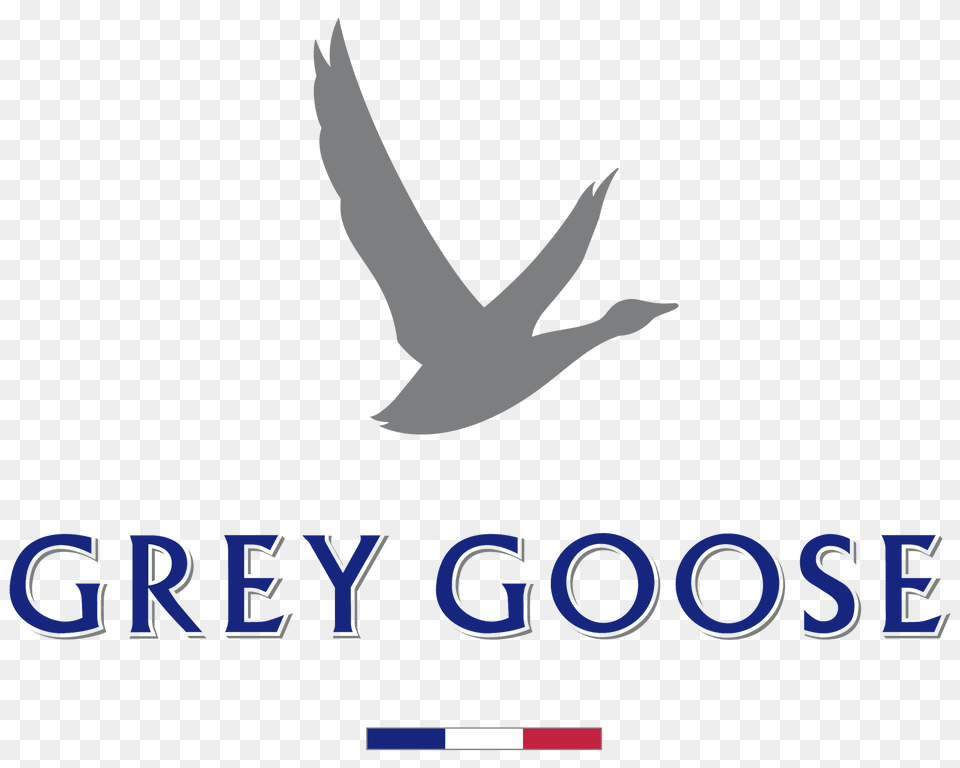 Grey Goose Vodka Logo, Animal, Bird, Kite Bird, Flying Free Transparent Png